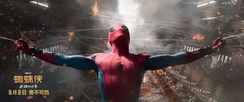 蜘蛛侠的视频