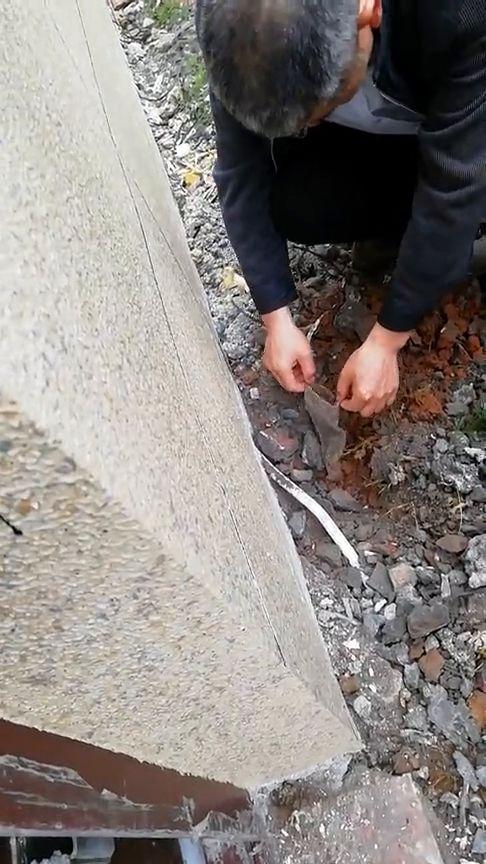 白蚁视频,揭秘地下建筑破坏者的生存智慧