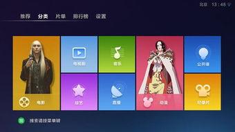 兔子视频,趣味横生的动物世界一瞥