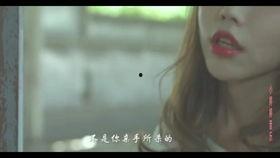 夜曲视频,夜曲旋律中的情感之旅
