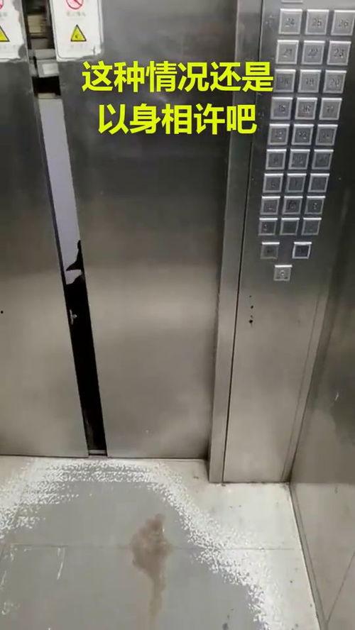 电梯门视频,电梯门视频揭示的日常奇观
