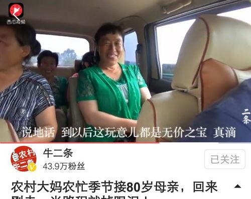 二条农村的视频,探寻乡村生活新画卷