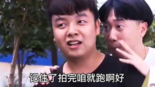 搞笑视频集,笑料横生！搞笑视频集带你开启欢乐之旅