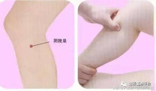 艾灸视频教程,视频教学，轻松掌握养生之道