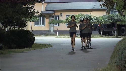 乳贴的使用方法视频,轻松掌握完美塑形技巧