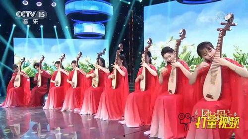 琵琶演奏视频,穿越时空的旋律演绎