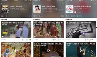 视频栏目,视频栏目深度解析