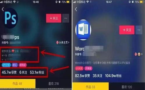 视频查重,查重技术揭秘与概述