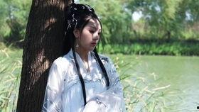 山鬼视频,揭秘神秘山野间的神秘生物