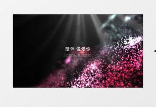 婚礼开场视频,婚礼开场视频精彩瞬间回顾