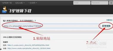 视频在线 网站,海量资源一网打尽