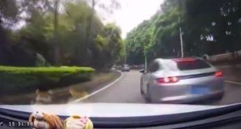 成都卢琴别车视频,一场引发网友热议的街头冲突