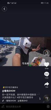 网红短视频,短视频热潮下的网红现象解析