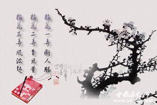 梅花三弄古琴教学视频,领略古典韵味，掌握琴艺精髓