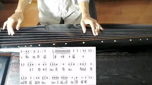 梅花三弄古琴教学视频,领略古典韵味，掌握琴艺精髓