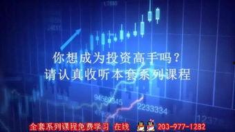 投资视频,实战案例分析