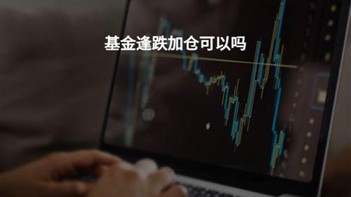 投资视频,实战案例分析