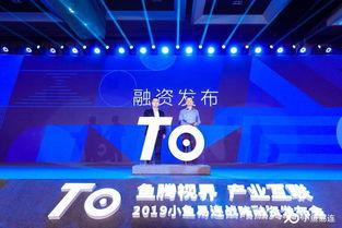 投资视频,实战案例分析