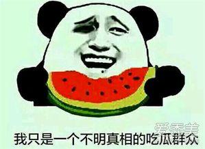 吃瓜爆料不用猜什么意思,吃瓜爆料，真相无需猜测
