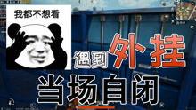 乱系列视频,揭秘混乱中的秩序之美