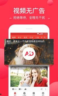 下载一个西瓜视频,轻松获取热门视频，畅享娱乐时光