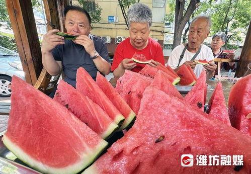 成武吃瓜最新事件爆料是真的吗,最新爆料真相揭秘