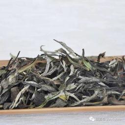 福鼎白茶视频,探寻千年古法的茶香传承