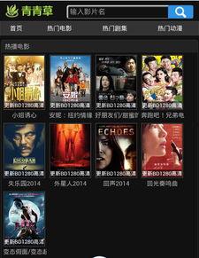 青青草绿色公开视频,揭秘自然生态之美