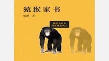 猿猴视频,探索动物世界的趣味与智慧