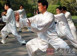 太极的视频,动静之间,探寻身心和谐奥秘