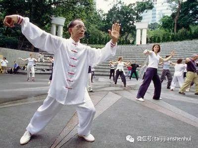 太极的视频,动静之间，探寻身心和谐奥秘